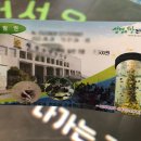 여수 낭만버스 코스 추천 전라남도해양수산과학관 후기