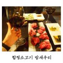 합정소고기 밤새우리에서 합정한우 먹고 천국봄