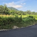 김창희공인중개사사무소 이미지