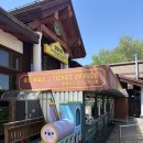 대인카프라자 | 평창 여행 필수코스 모나용평 루지 &amp; 발왕산 케이블카 후기