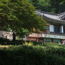 (강진)새로운 사회와 문화의 꿈이 담긴 남도답사1번지 청자골