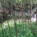 감로농장 이미지