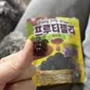 상아탑분식 | 2026.1월 일상