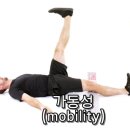 제이 스포츠 퍼포먼스 이미지