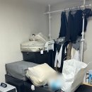구미이사짐센터 삼율화물용달 이용 만족한 솔직 후기(장거리 이사 / 반포장)