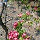 풍이농장 이미지