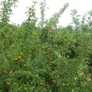 강동면사무소 이미지