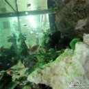 카톨릭병원 이미지