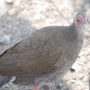 아름다운 선물 이미지