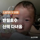 반월호수온도 | "유모차 없이 괜찮을까?" 반월호수 아기띠 산책 후기