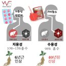 4피엠