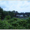 거전마을 이미지