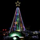 영암군 공설운동장 이미지