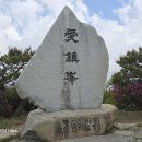 부산통일관 Daum카페