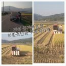 심가네농장 이미지