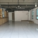 위드 더 독 이미지