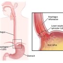 현대가정의원 이미지