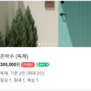 은하수방 이미지