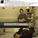 현씨농장 이미지