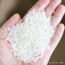 원주시농협쌀조합공동사업법인 이미지