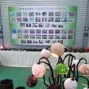 대마보건진료소 이미지