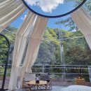 뇌운계곡사람들 이미지