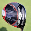 타이거골프클럽 이미지