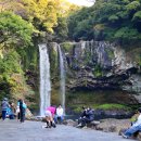 천지연무태장어천지연 | [제주 서귀포] 천지연폭포의 고요한 울림, 지난 추억과 실전 관람 팁 (입장료/야경/주차)