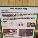 양자에너지체험방 이미지