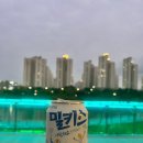 음악분수대 | 운정호수공원 음악분수대 관람 후기!