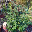 사봉농장 이미지