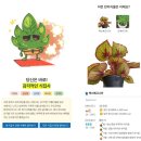 생활원예(반려식물) 이미지