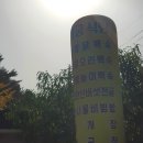 다금식당 이미지