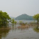 마산면사무소 앞 이미지