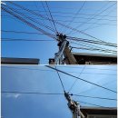 청룡동-11 이미지