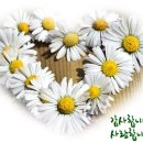 금줄산모도우미 이미지