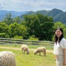 큰집목장 이미지