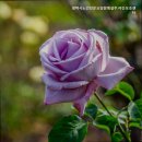 평택시노인전문요양원 | 평택요양원 평택시노인전문요양원병설주.야간보호센터 신뢰할 수 있는 요양 서비스