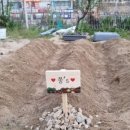 신명농장2 이미지