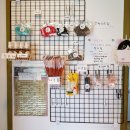 발바닥애견카페 이미지