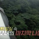 도순동-3 이미지