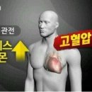 쌍쌍포차 - 양산시 | 쌍쌍포차