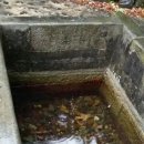 정당새미 이미지