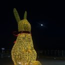 안일사앞 | [대구] 앞산 전망대 등산 후기 : 안일사 코스, 대구 야경 명소