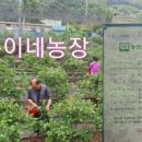 온양농협하나로마트발리점 이미지