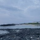 레프트핸더 스테이 이미지