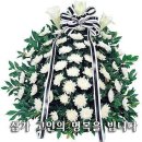 정원자 Daum카페