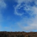 사라의 정원 이미지