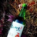 맨날술이야 - 광명시 | 맨날술이야