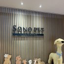 홍천 소노펫 비발디파크 숙박 솔직후기 - 띵킹독, 플레이그라운드, 인근맛집까지!